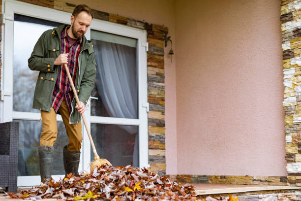 Best Commercial Cleanout Services  in Salem, WV